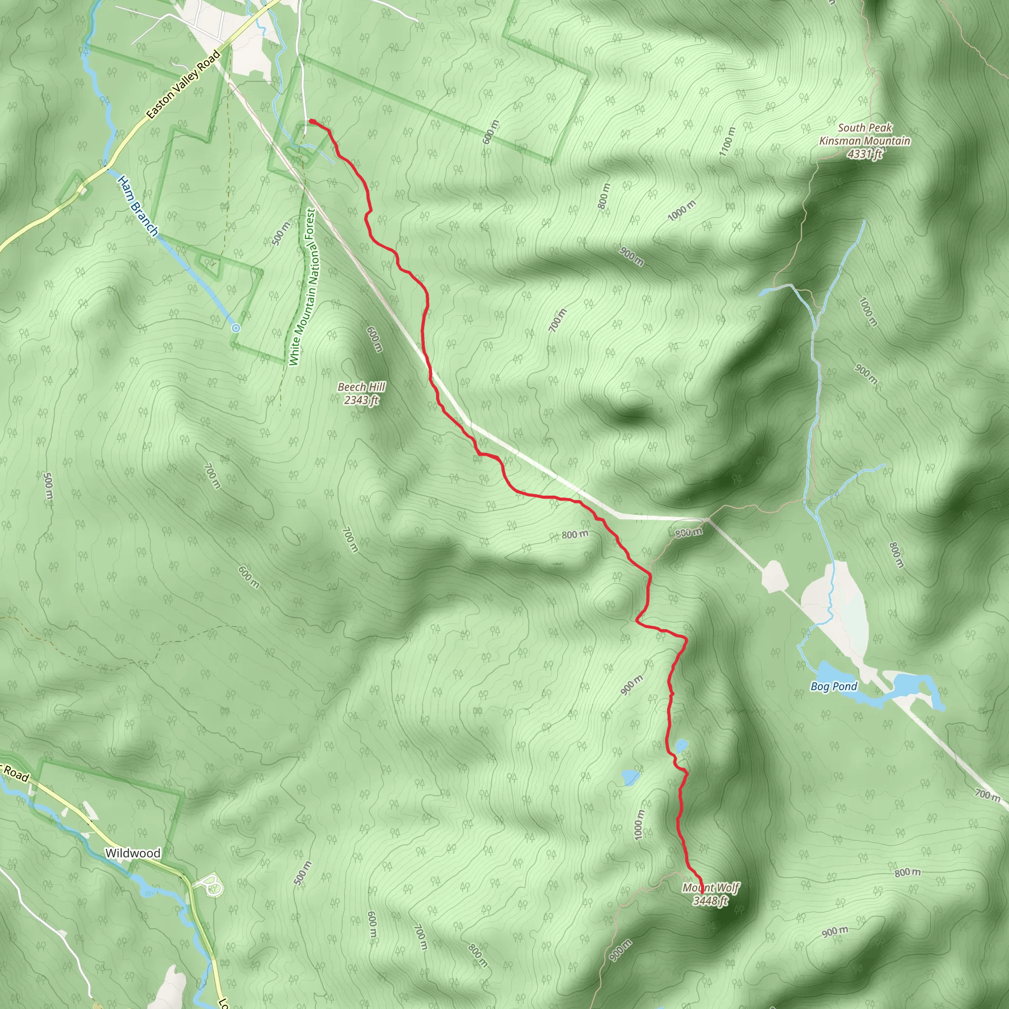 Mount Wolf via Reel Brook Trail mobile static map