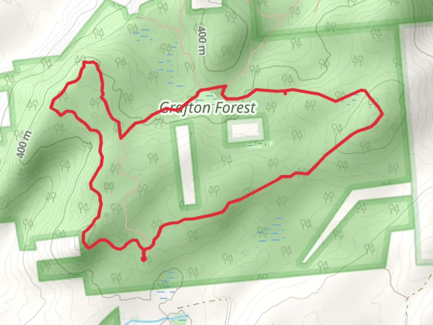 An image depicting the trail Highpoint Trail and Valley View Trail Loop from Grafton Forest Road and its surrounding area.