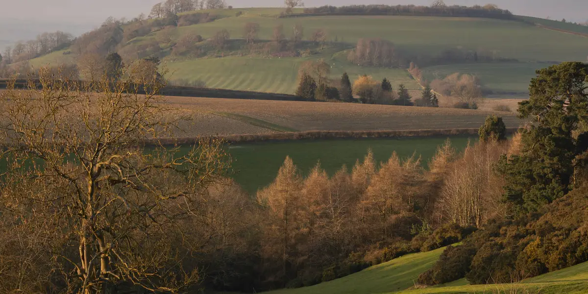 Upper Quinton and Hidcote Bartrim from Mickleton