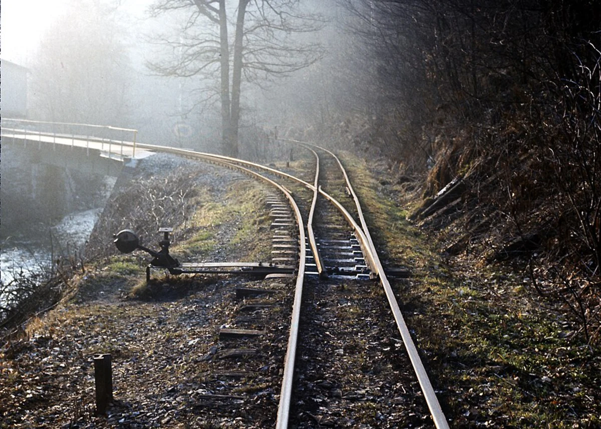 Affenstein Loop via Wilischthaler Straße
