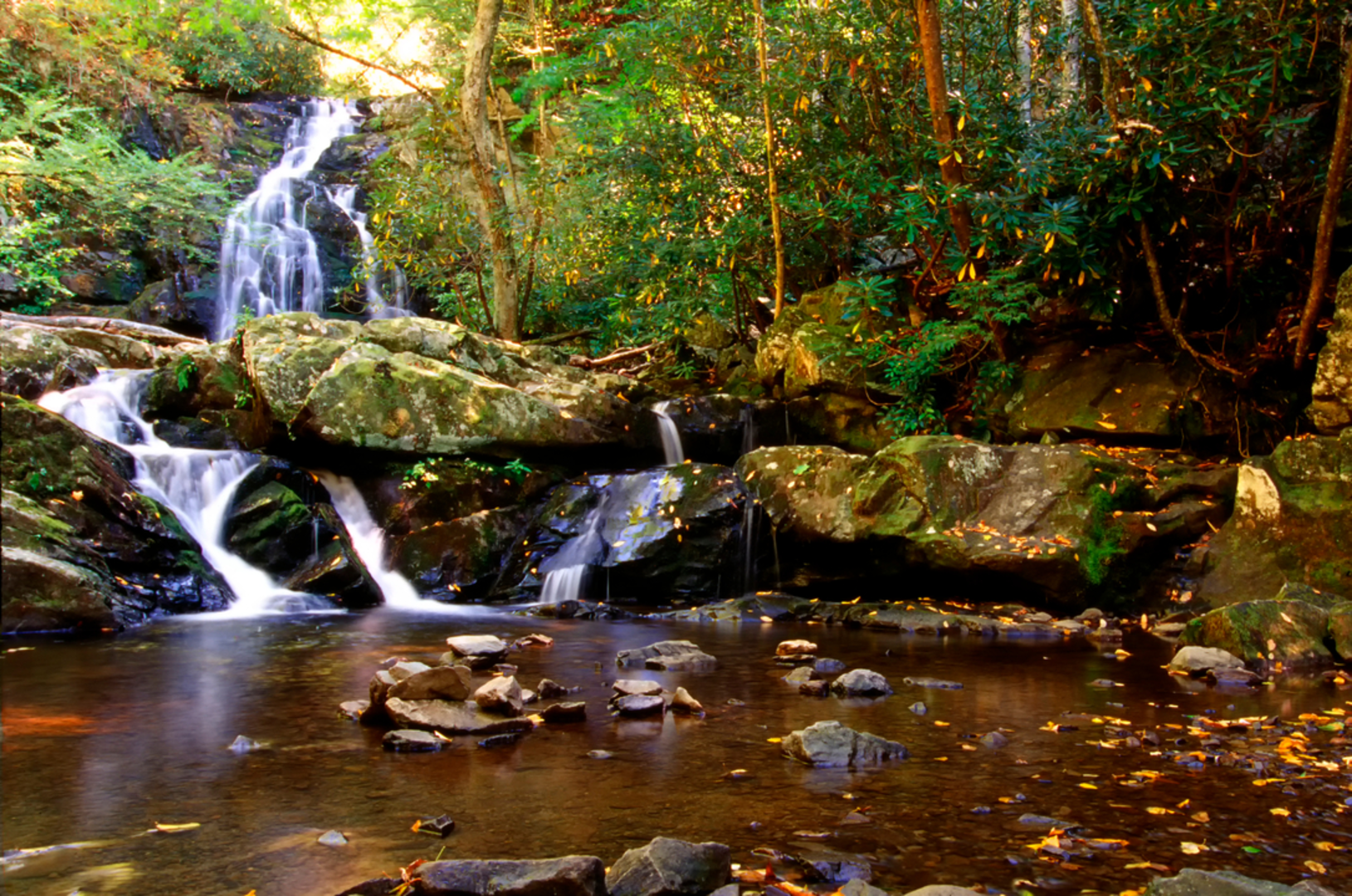 An image depicting the trail Spruce Flats Falls Trail and its surrounding area.