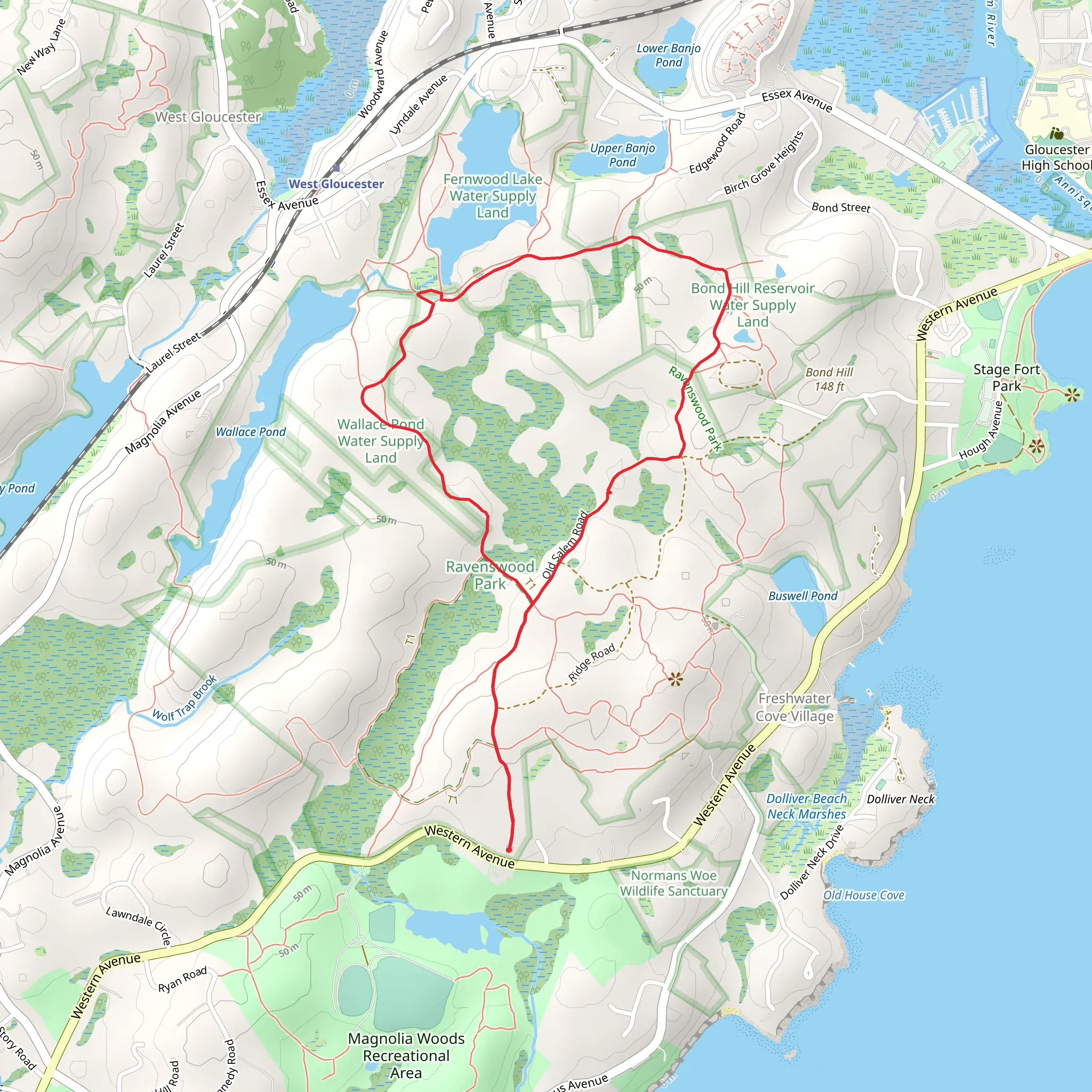 Fernwood Lake Trail Loop - Ravenswood Park mobile static map