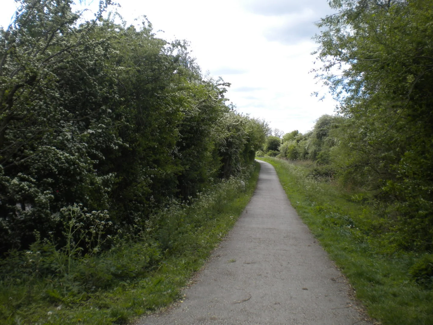 An image depicting the trail Sinfin Moor Nature Reserve and River Trent via Derby Canal and its surrounding area.