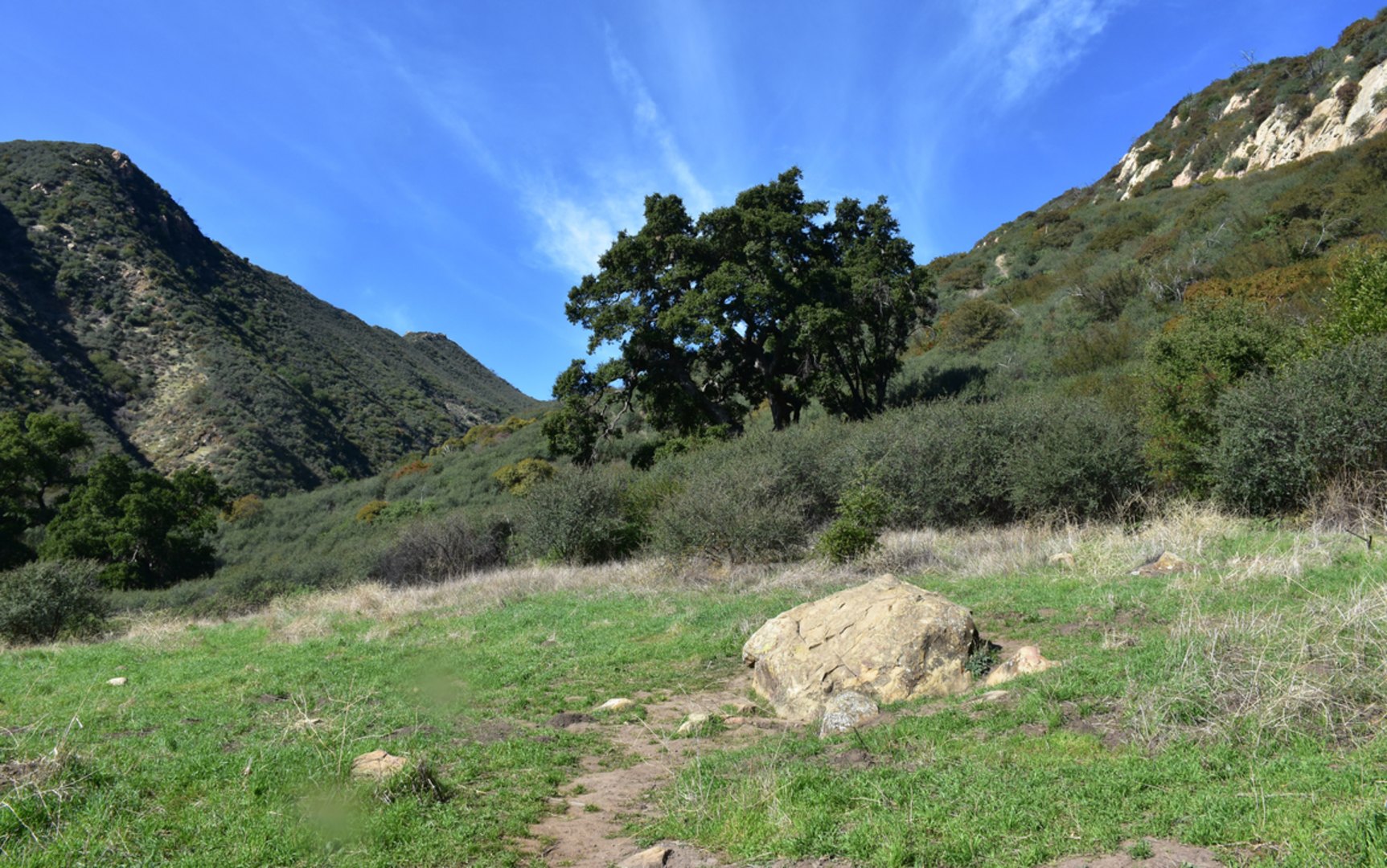 An image depicting the trail Santa Barbara Canyon Trail and its surrounding area.