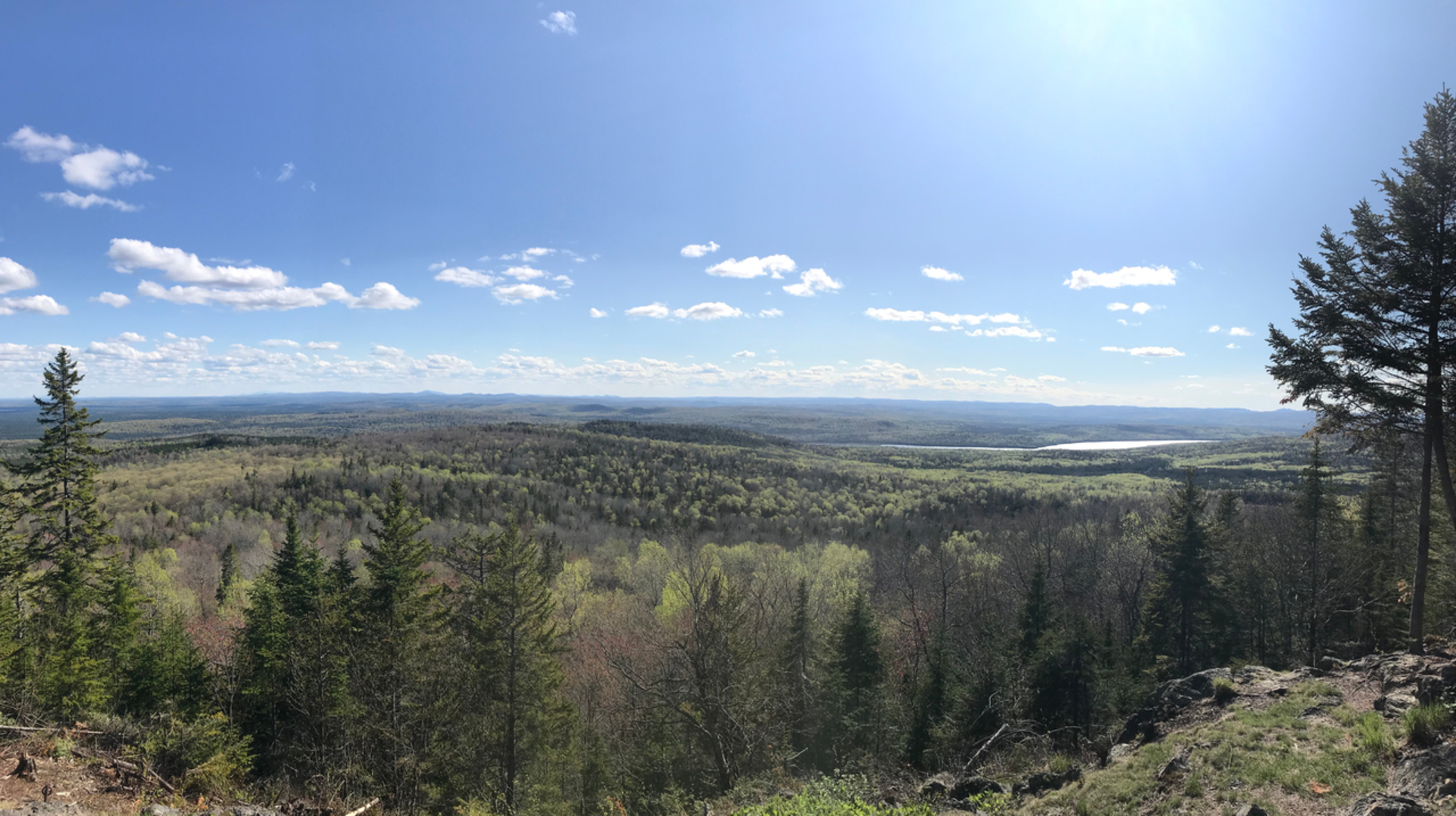 An image depicting the trail Hedgehog Mountain Trail and its surrounding area.