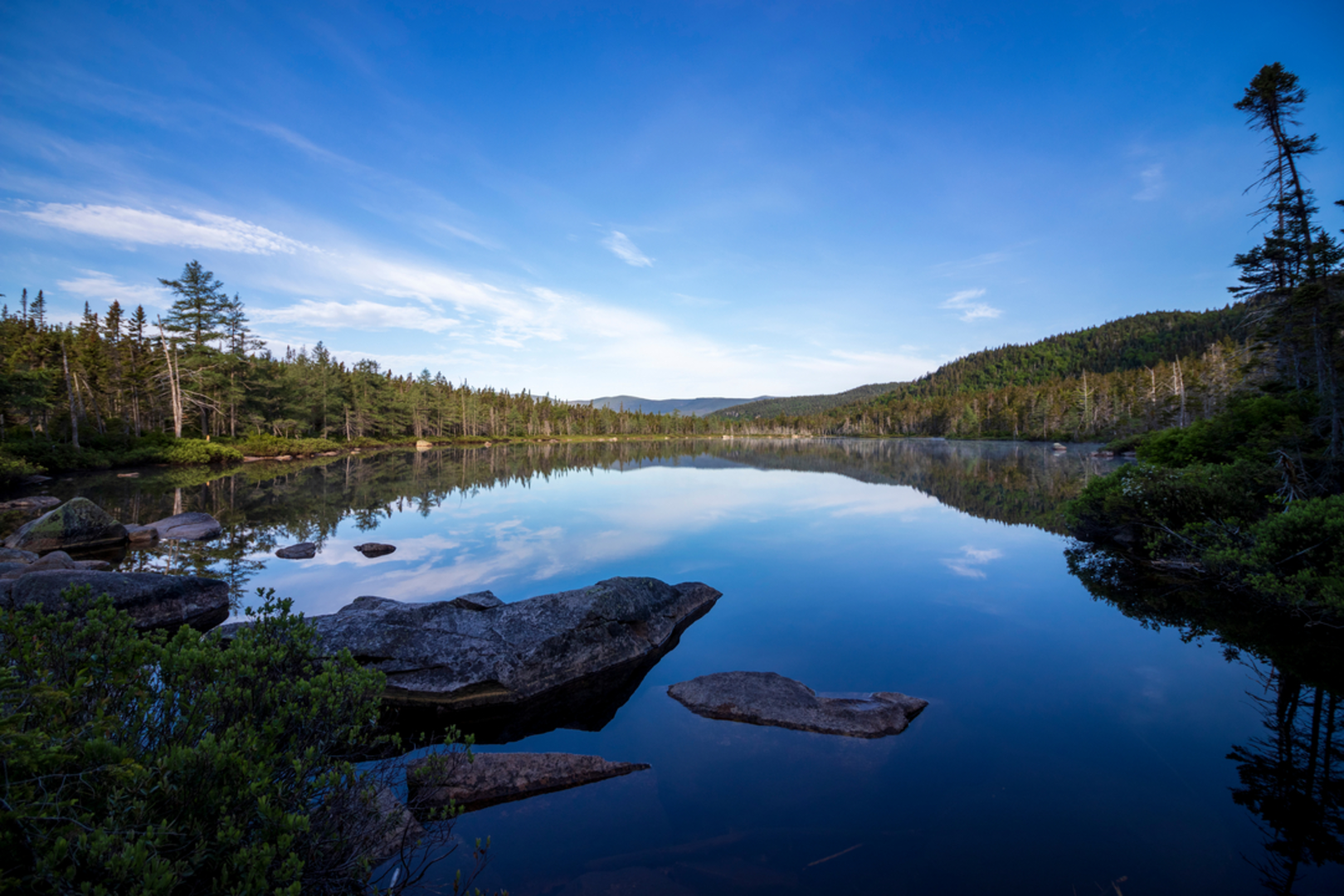 An image depicting the trail Ethan Pond Trail and Saco River Trail Loop and its surrounding area.