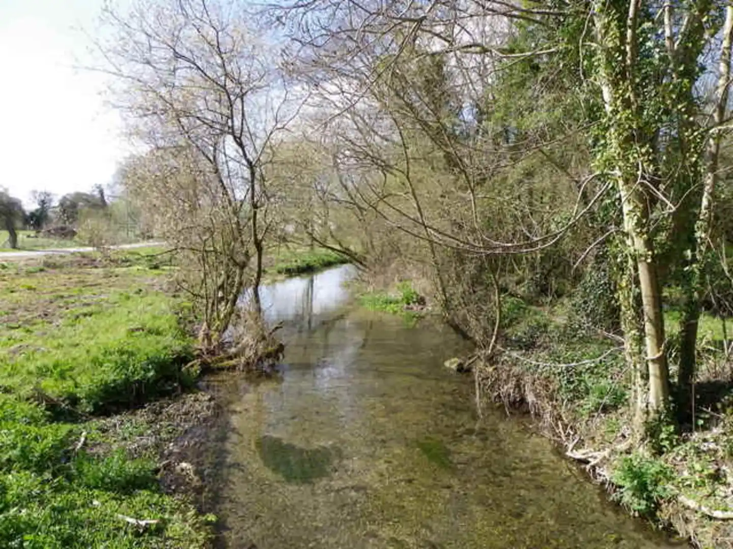 An image depicting the trail Bishopstone and Meadows Walk and its surrounding area.