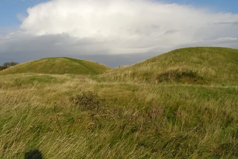 An image depicting the trail Ailwood Down Loop and its surrounding area.