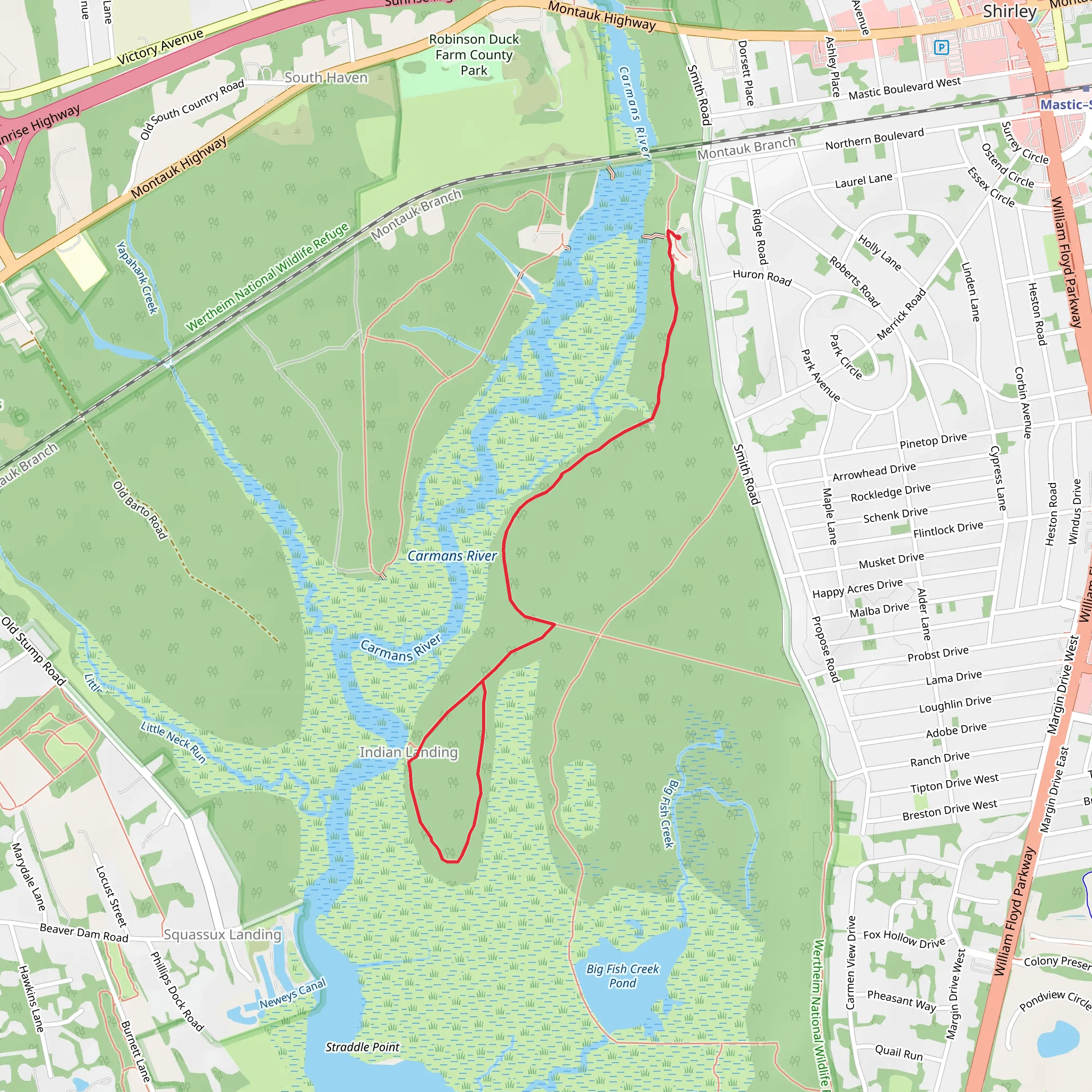 Indian Landing Loop via Black Tupelo Trail mobile static map