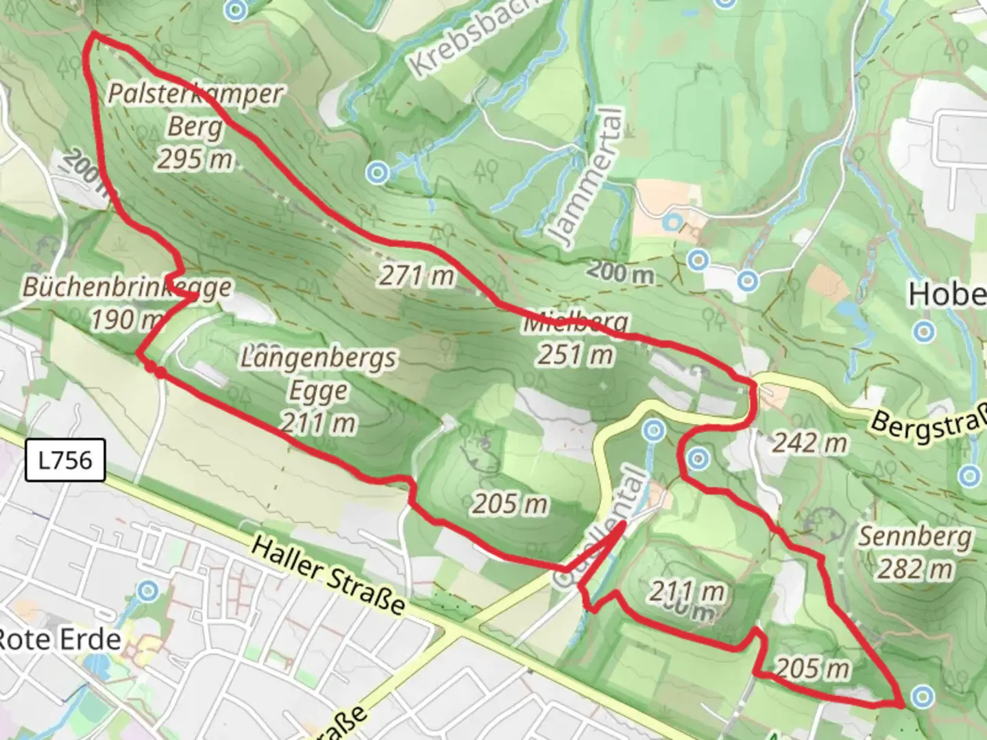 An image depicting the trail Quellweg Loop and its surrounding area.