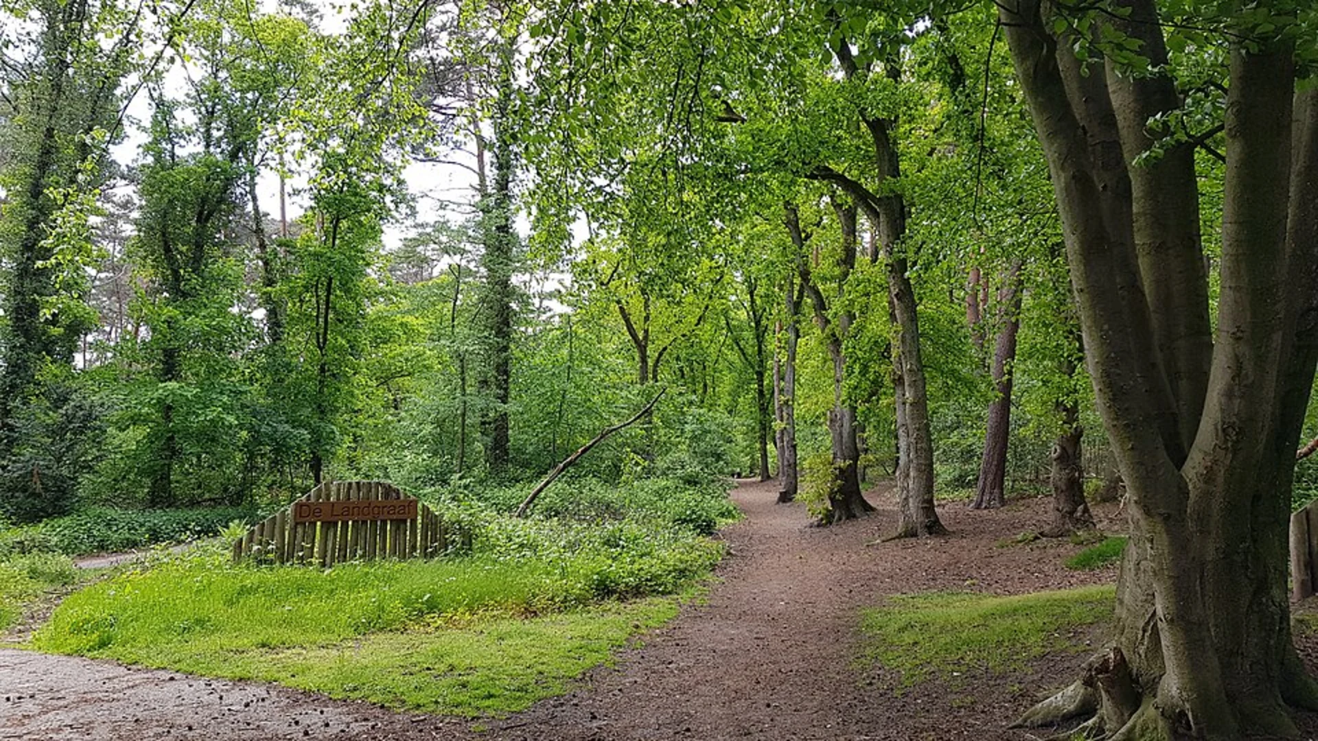 An image depicting the trail Nieuwenhagen via Kleikoele Weg and Oude Landgraaf and Grote Hei Weg and its surrounding area.