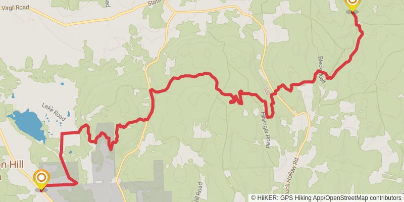 Finger Lakes Trail stage 31 Map