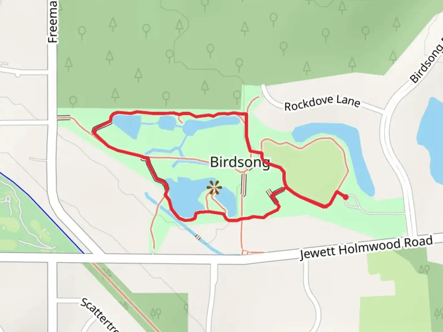 An image depicting the trail Birdsong Loop Trail and its surrounding area.
