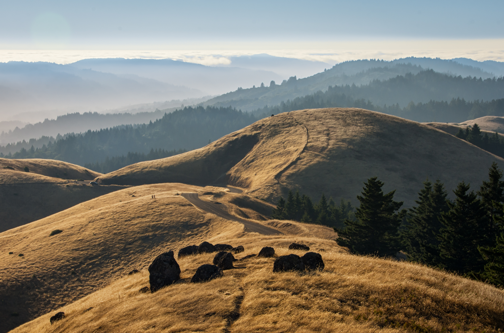 An image depicting the trail Eldridge Grade Fire Road Trail and its surrounding area.