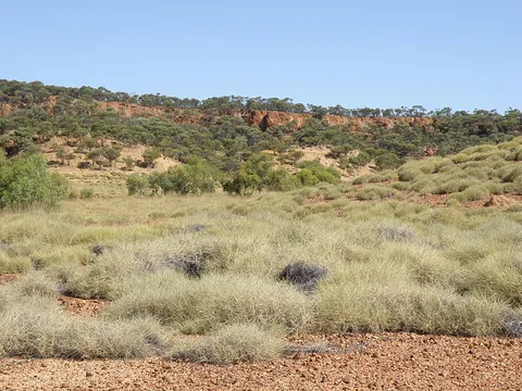Spinifex Circuit Track