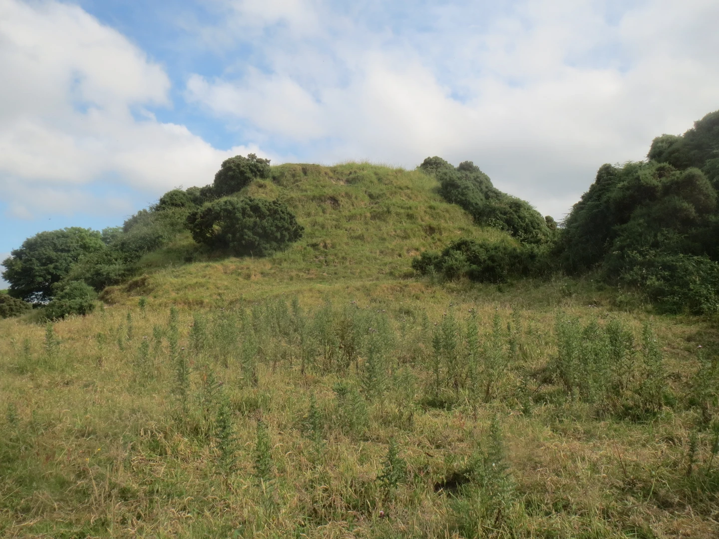 An image depicting the trail Ballyhoura - Kilfinane Loop and its surrounding area.