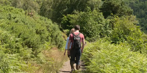 An image depicting the trail Two Moors Way and its surrounding area.