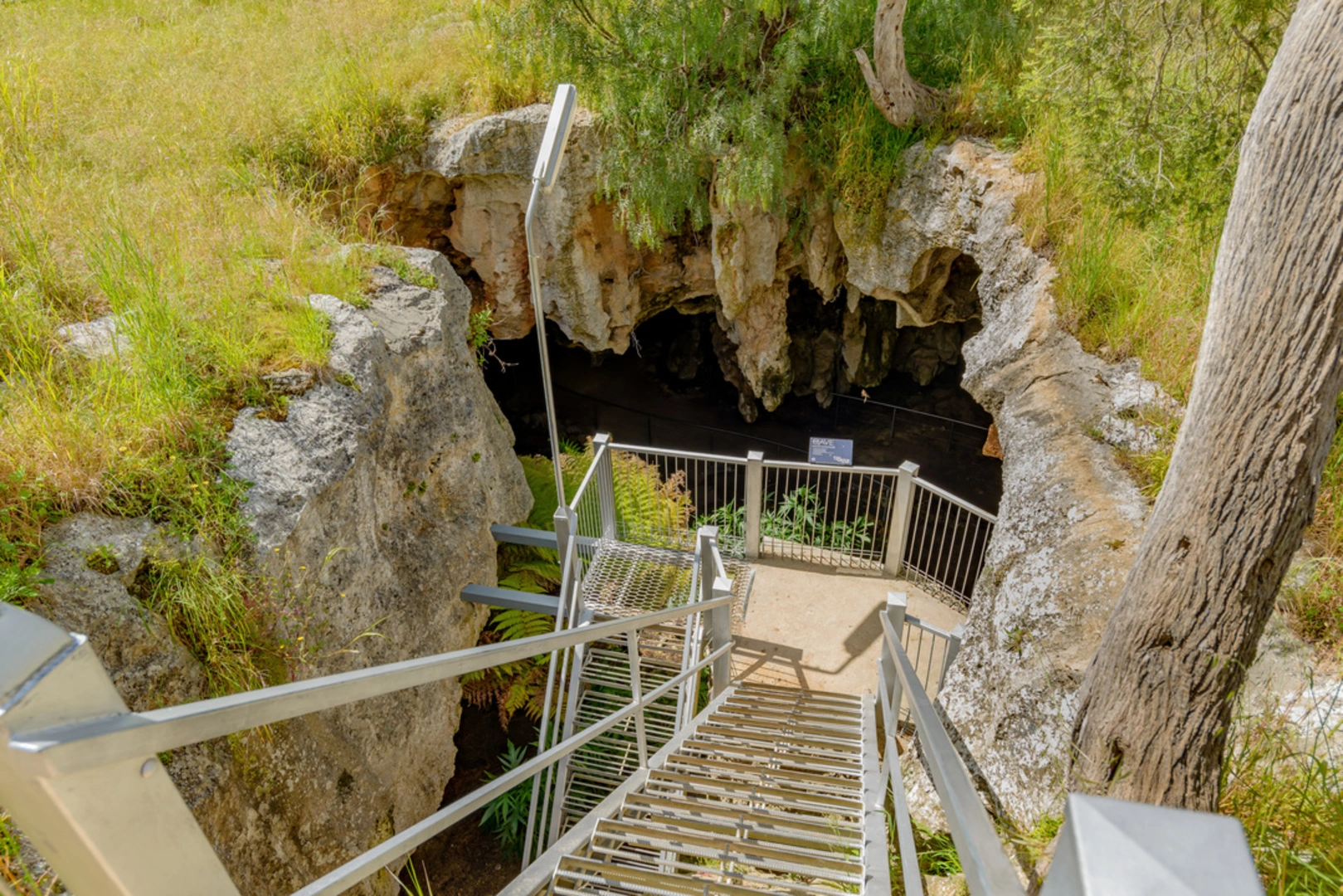 An image depicting the trail Roof Top Loop Walk at Naracoorte Caves and its surrounding area.
