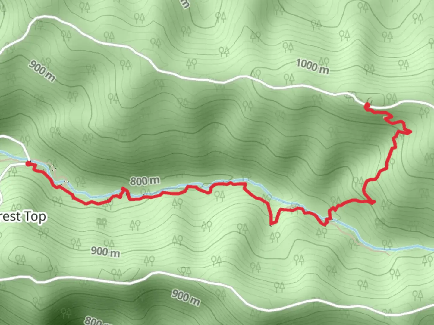 An image depicting the trail Brindle Creek Track and its surrounding area.