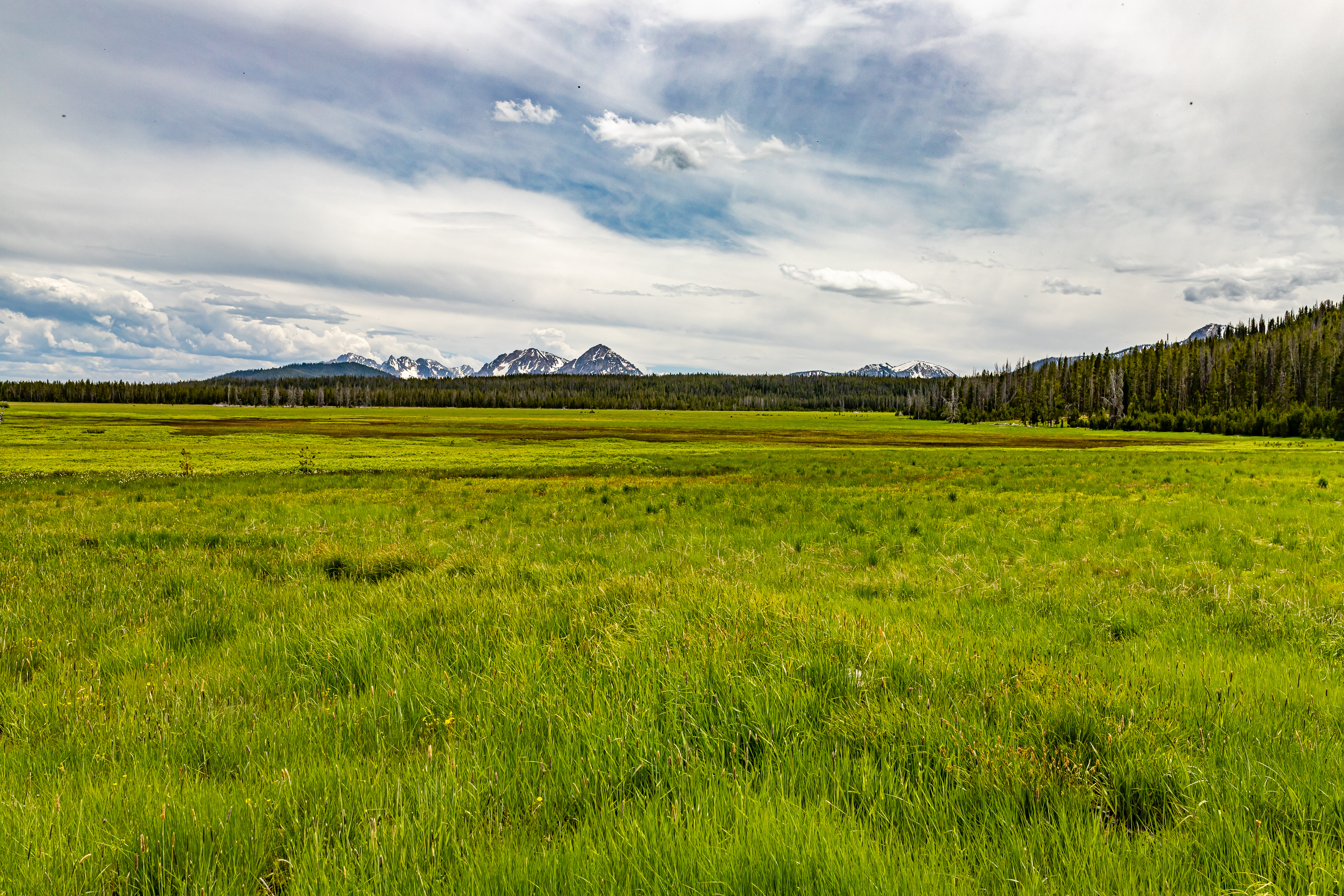 An image depicting the trail Sawtooth National Forest and its surrounding area.