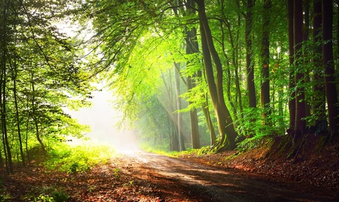 An image depicting the trail Hunenweg and its surrounding area.