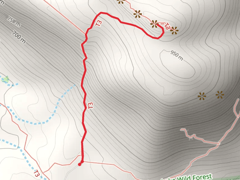 Crane Mountain from Ski Hi Road Out and Back