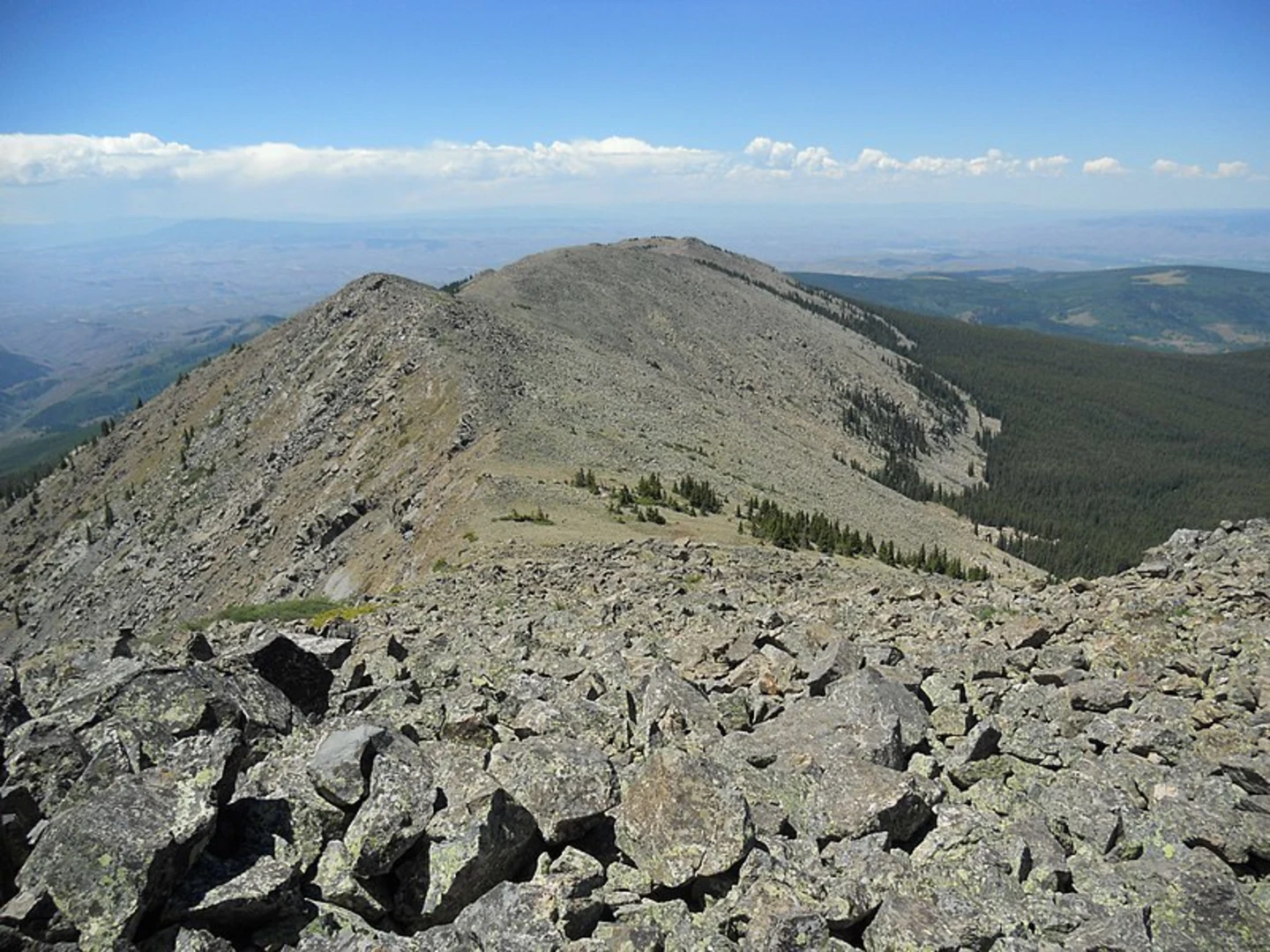 An image depicting the trail Beaver Cow Trail and its surrounding area.