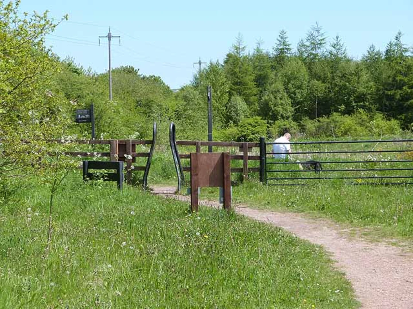 An image depicting the trail Joe's Pond, Pond 3 and Pond 4 Loop and its surrounding area.