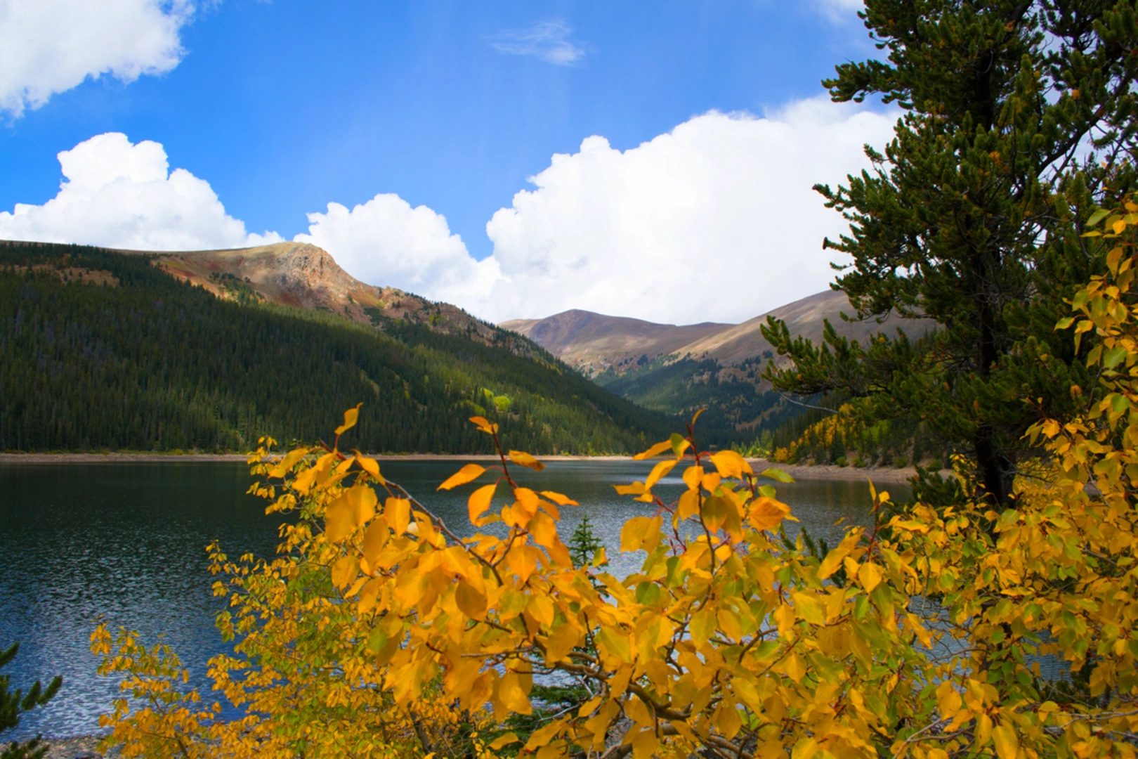 An image depicting the trail West Jefferson Loop Trail via Colorado Trail and its surrounding area.