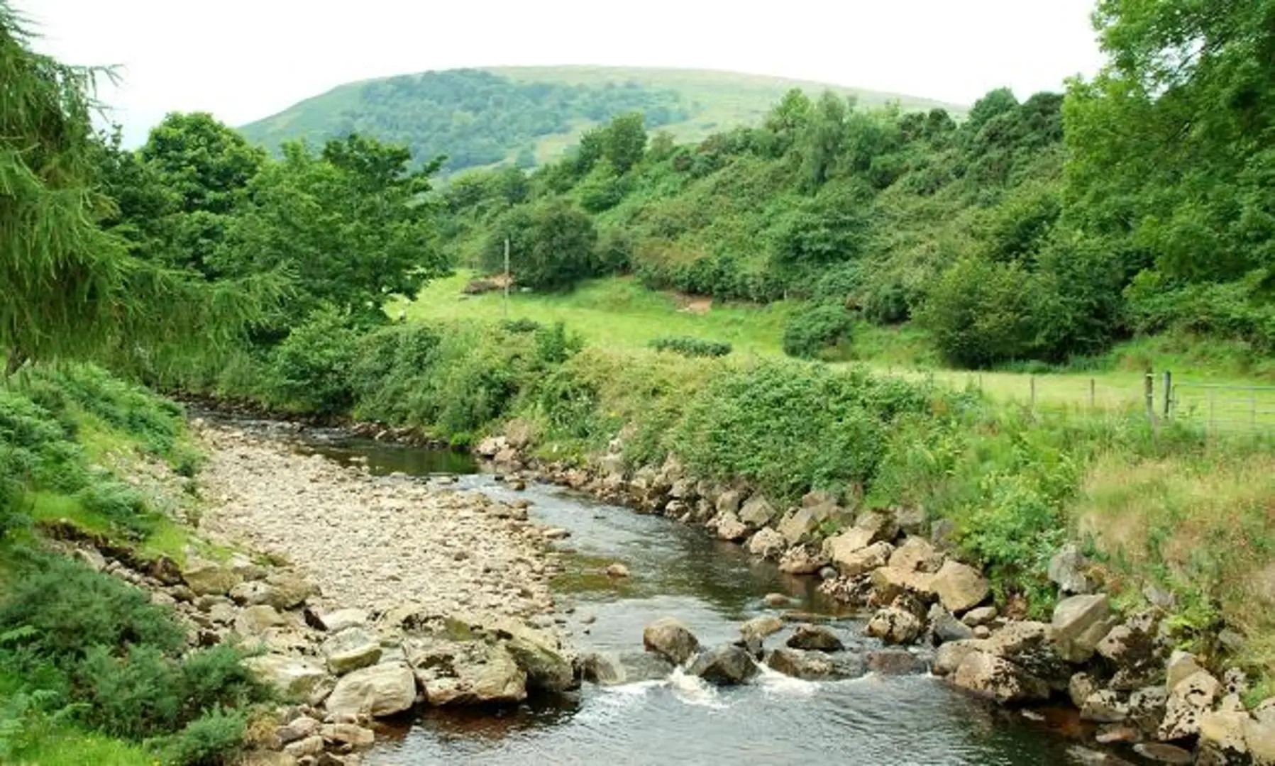 An image depicting the trail Ronan’s Way - Blue Loop and its surrounding area.