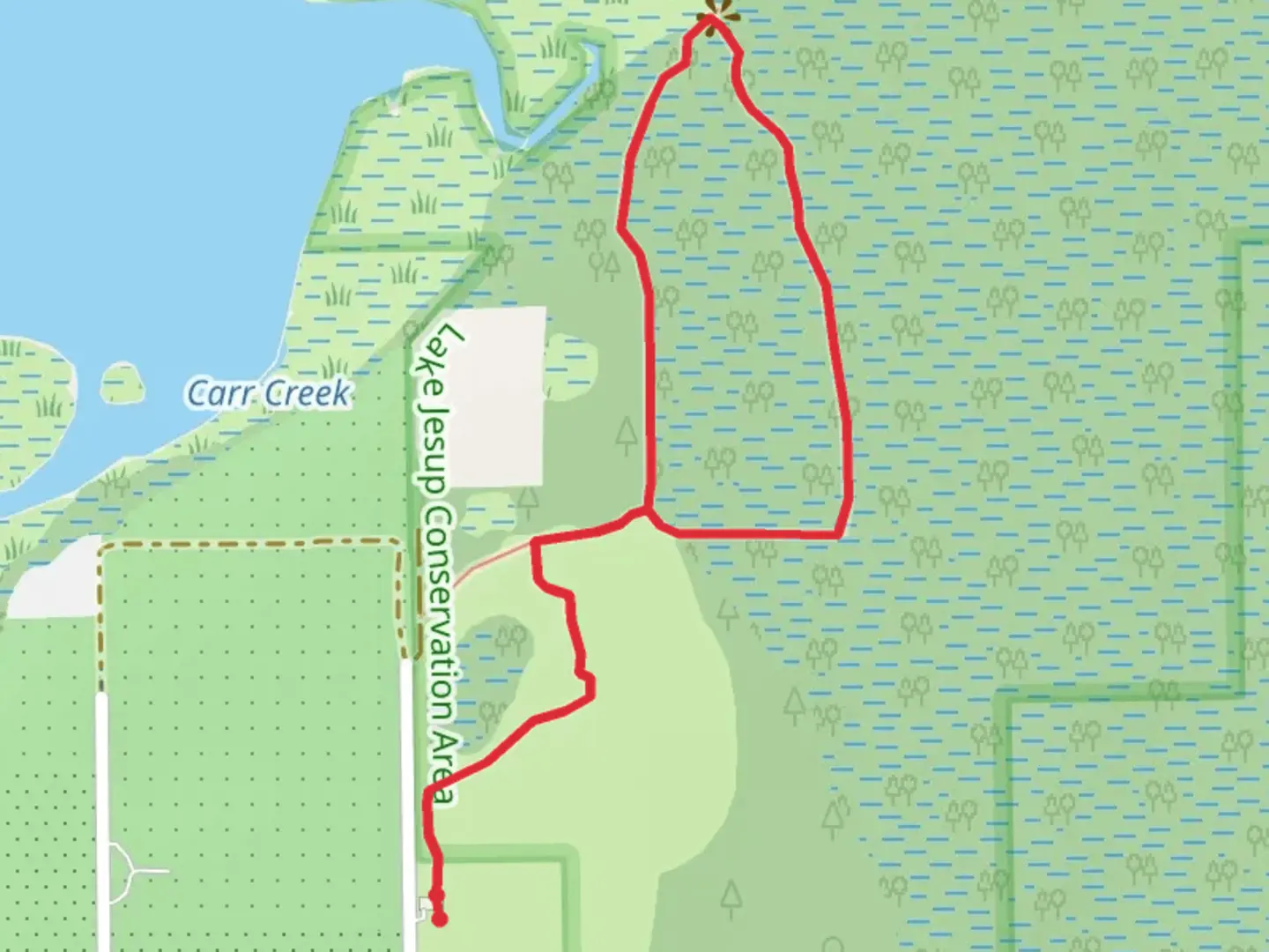 An image depicting the trail Lake Jesup East Tract Restoration Area Loop Trail and its surrounding area.