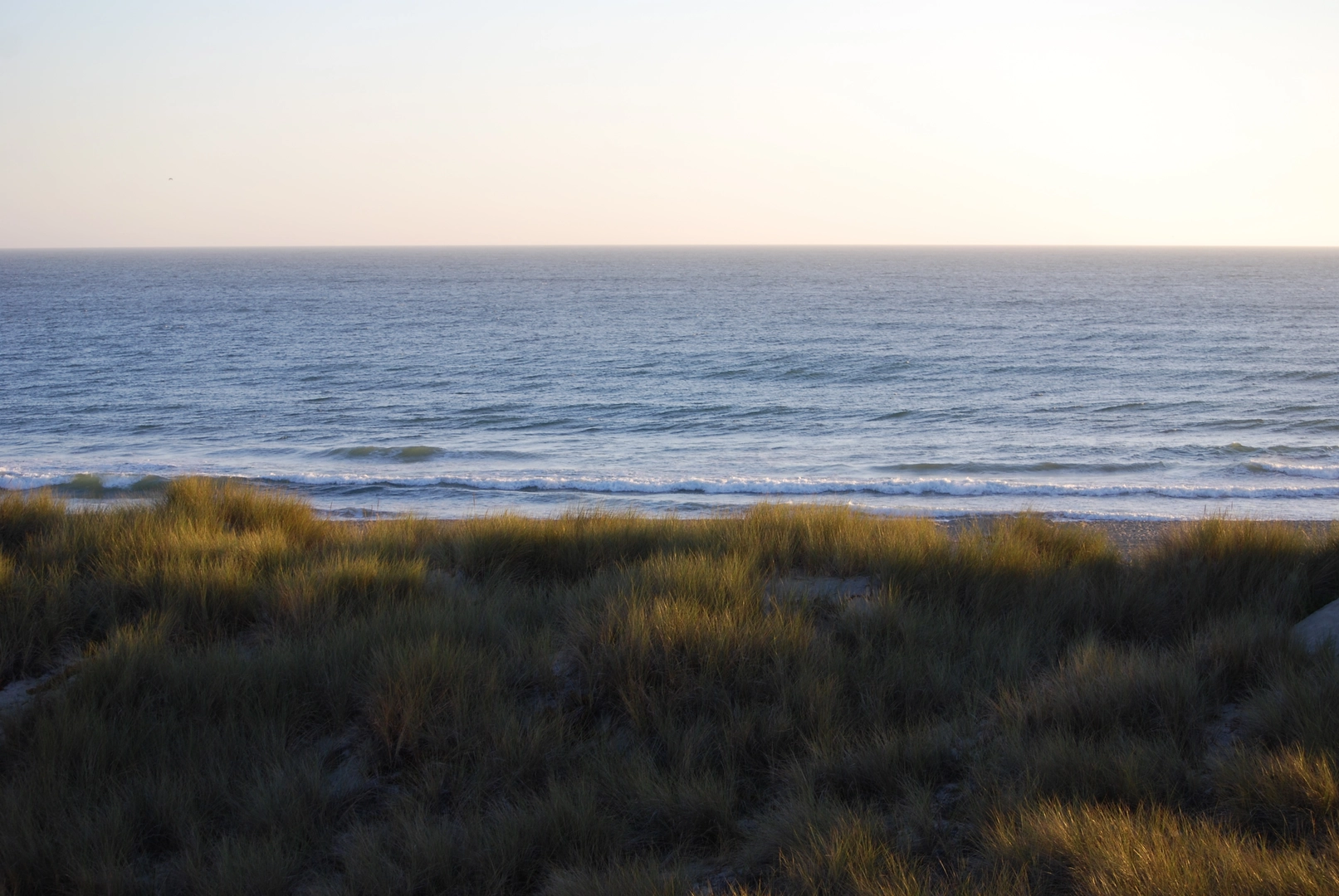An image depicting the trail Salsipuedes-Pajaro way and its surrounding area.
