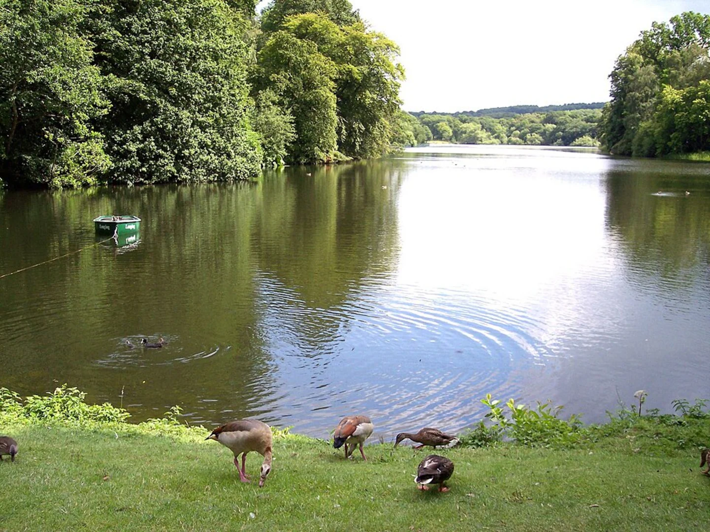 An image depicting the trail Harewood Circular Walk and its surrounding area.