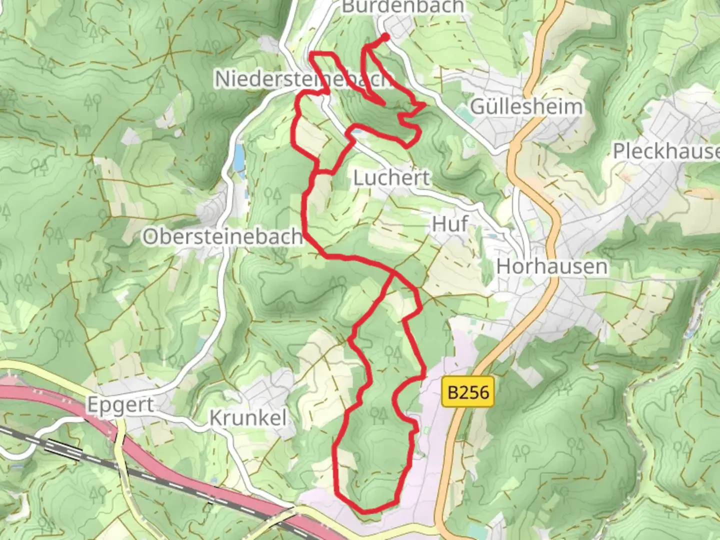 An image depicting the trail Niedersteinebach Loop and its surrounding area.