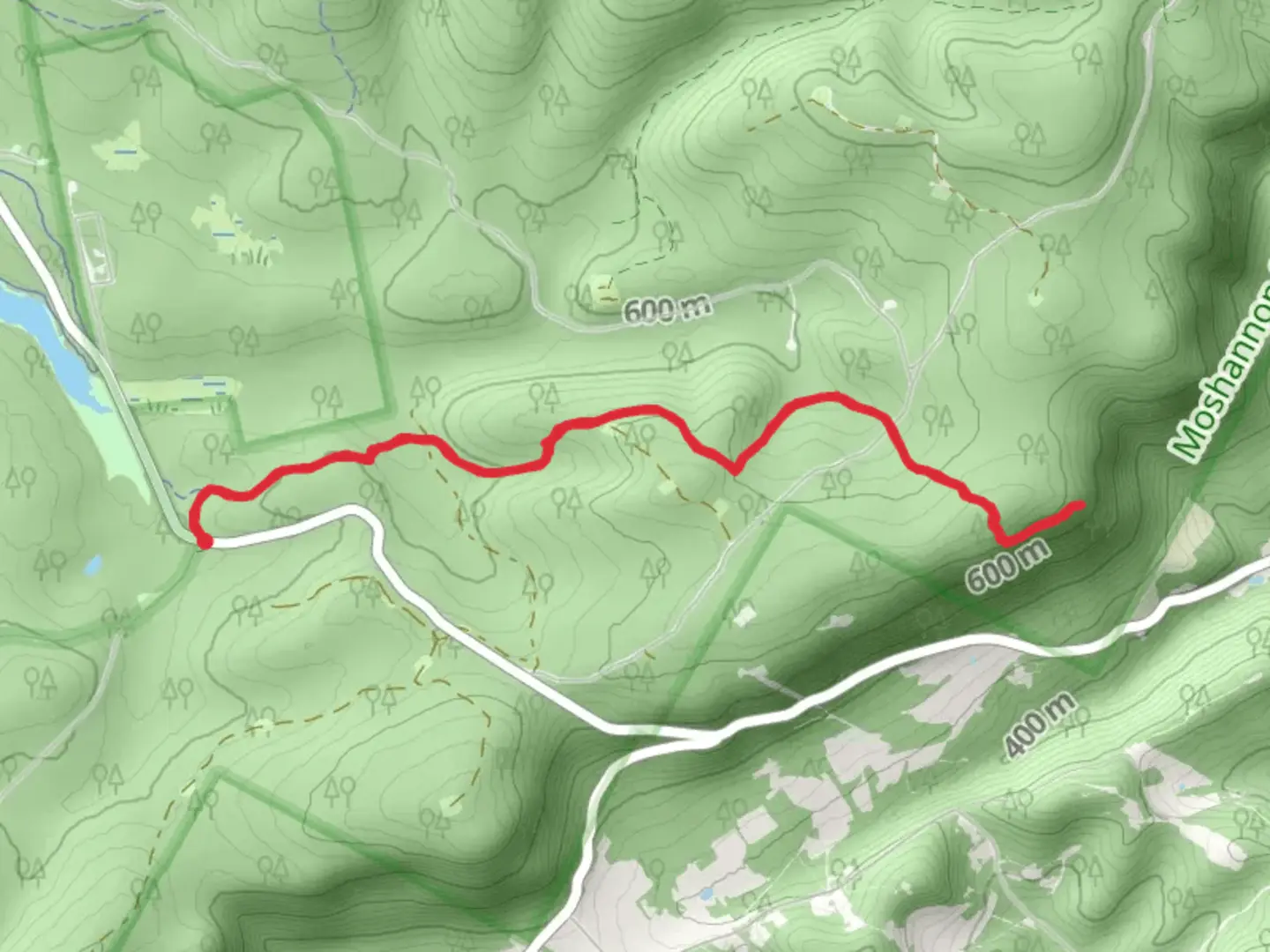 An image depicting the trail Allegheny Front Trail - Beaver Mills and its surrounding area.