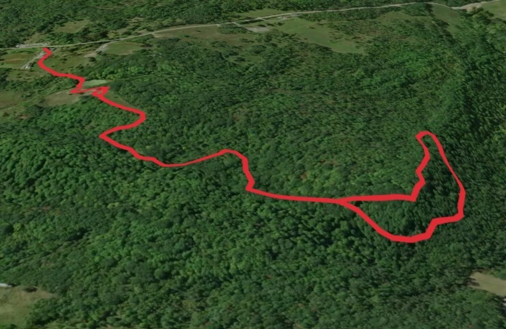 An image depicting the trail Lape Road Loop and its surrounding area.