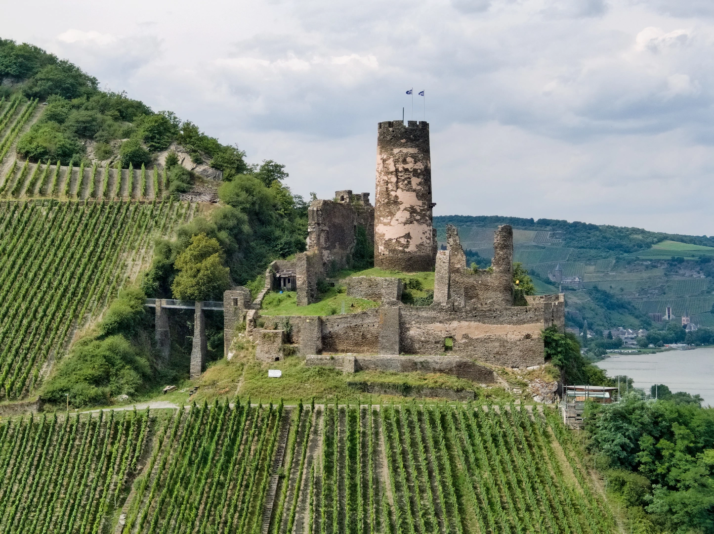 An image depicting the trail Fürstenberg Castle via Welterbesteig Oberes Mittelrheintal and its surrounding area.