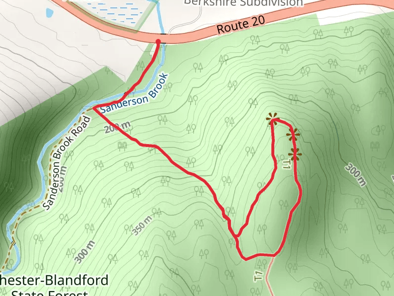 Chester-Blandford State Forest Short Trail