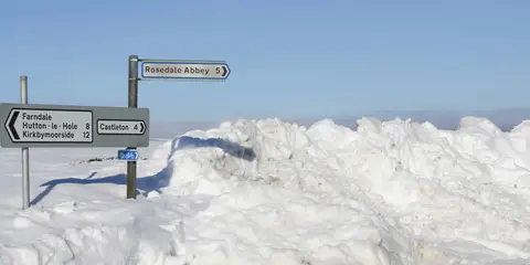 An image depicting the trail Rosedale Walk and its surrounding area.