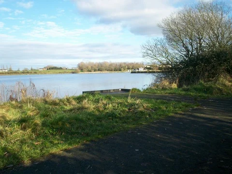 An image depicting the trail Lurgan Park and its surrounding area.