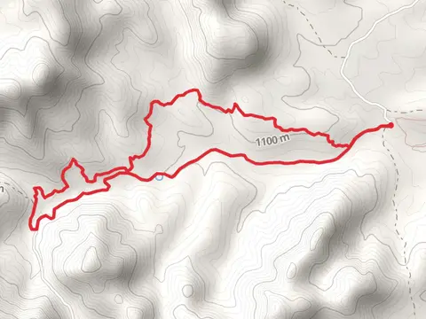 Puerto and Sarding Canyon Loop