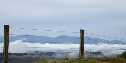An image depicting the trail Rangituhi - Colonial Knob Walk and its surrounding area.