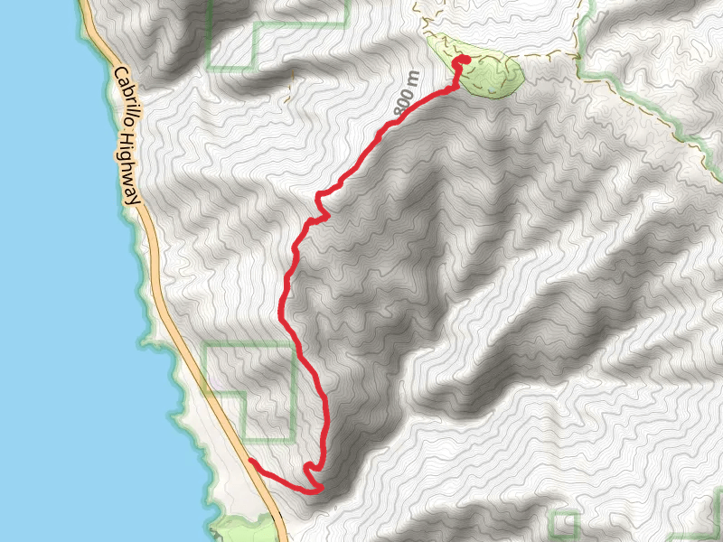 Prewitt Ridge Trail via Prewitt Ridge Campground
