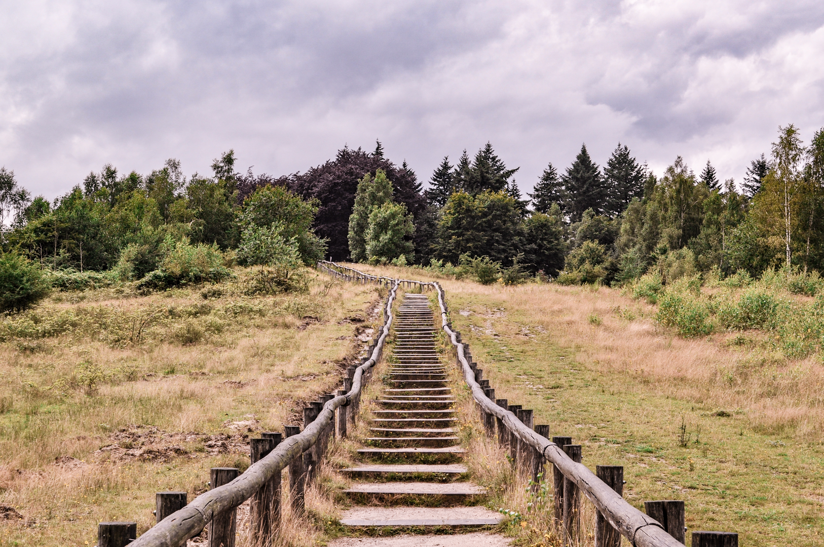 An image depicting the trail Sparreboomsche Berg, Dikkenberg and Remmerstein Loop and its surrounding area.