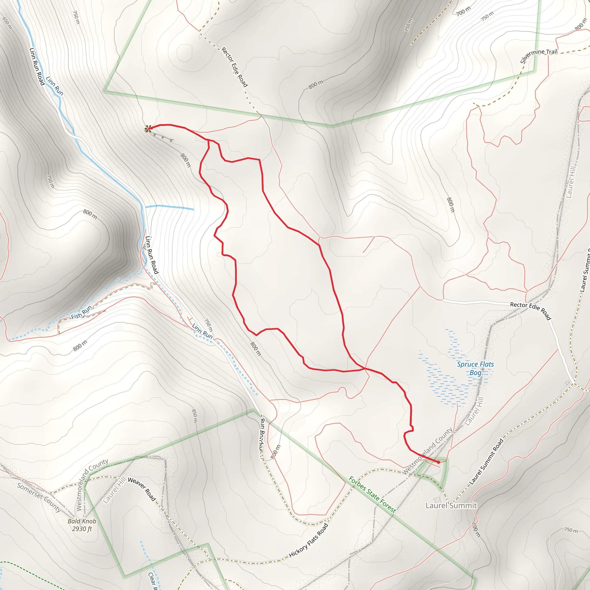 Wolf Rocks Loop Trail mobile static map