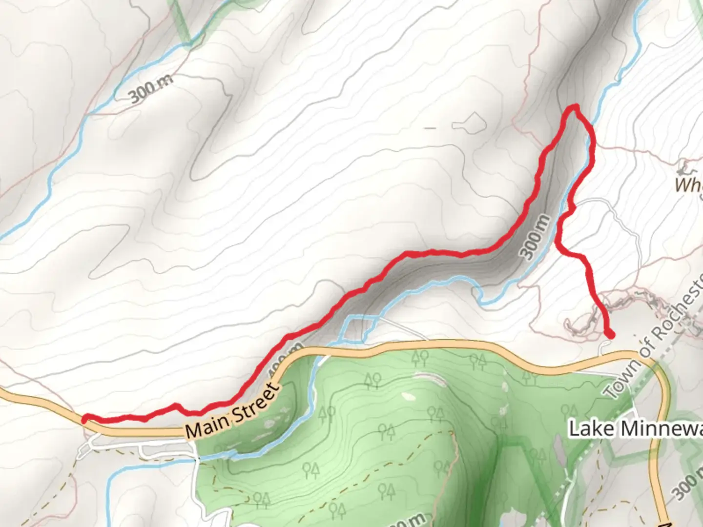 An image depicting the trail High Peter's Kill Trail - Blue and its surrounding area.