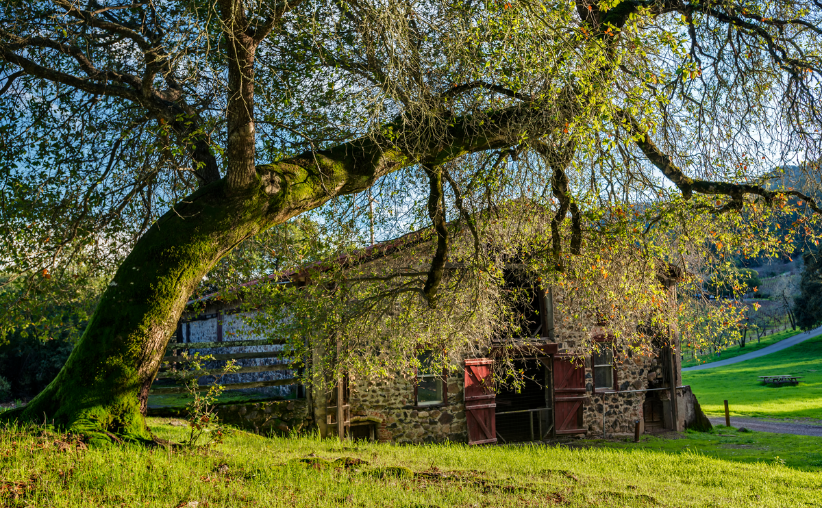 London Lake - Old Fallen Bridge Trail