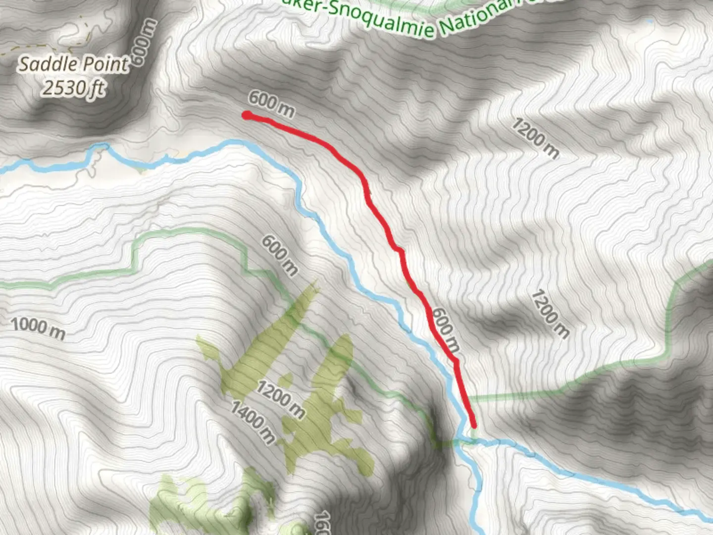 An image depicting the trail Cascade River Trail and its surrounding area.