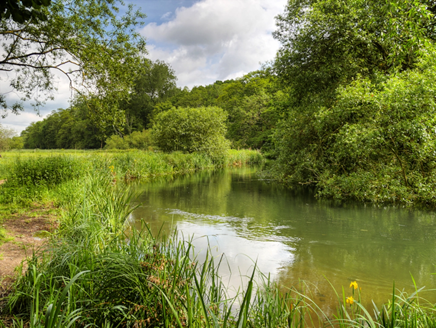 An image depicting the trail Itchen Valley Nature Reserve Walk and its surrounding area.