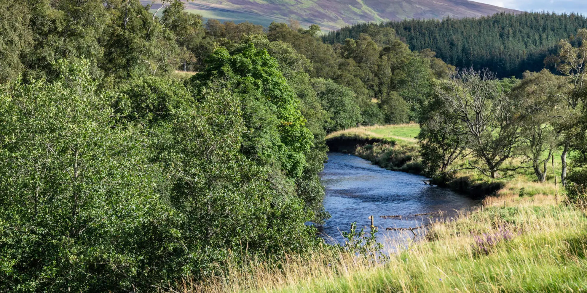 An image depicting the trail Glen Clova Path - South Esk Trail and its surrounding area.
